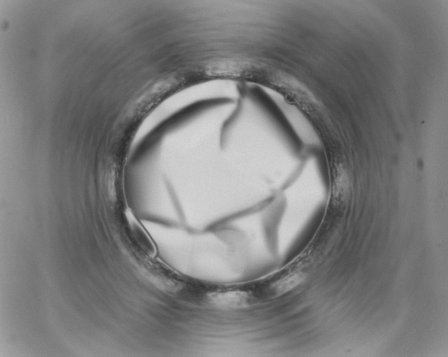 X0000062930452200602031951