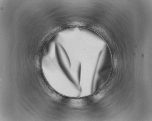 X0000062930457200602031951