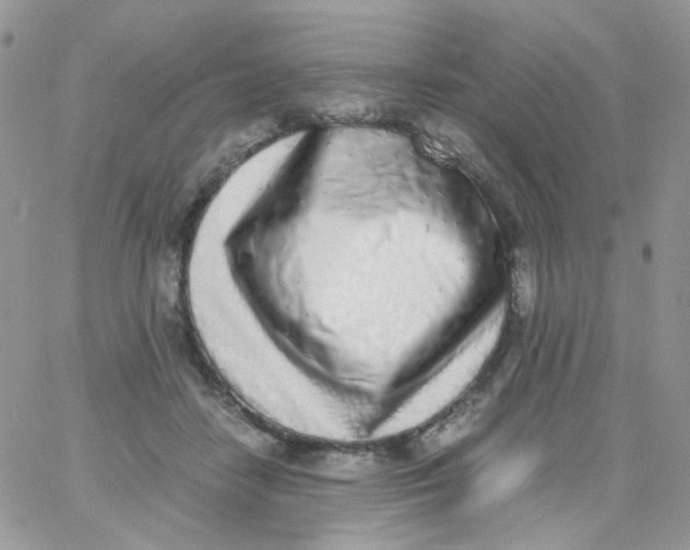 X0000062930458200602031951