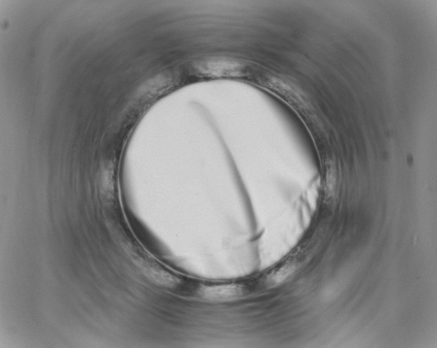 X0000062930461200602031951