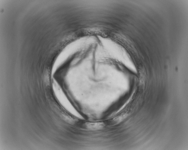 X0000062930465200602031951