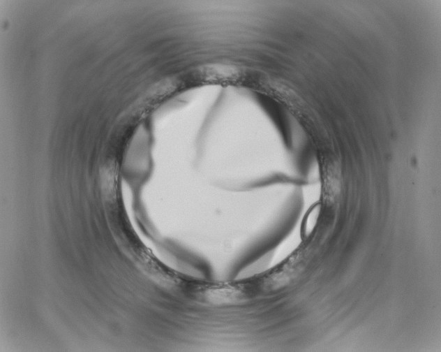 X0000062930468200602031951