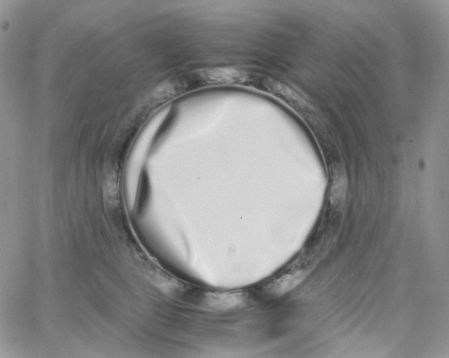 X0000062930469200602031951