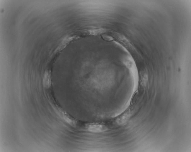 X0000062930471200602031951