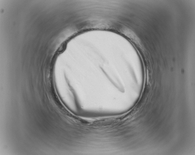 X0000062930483200602031950