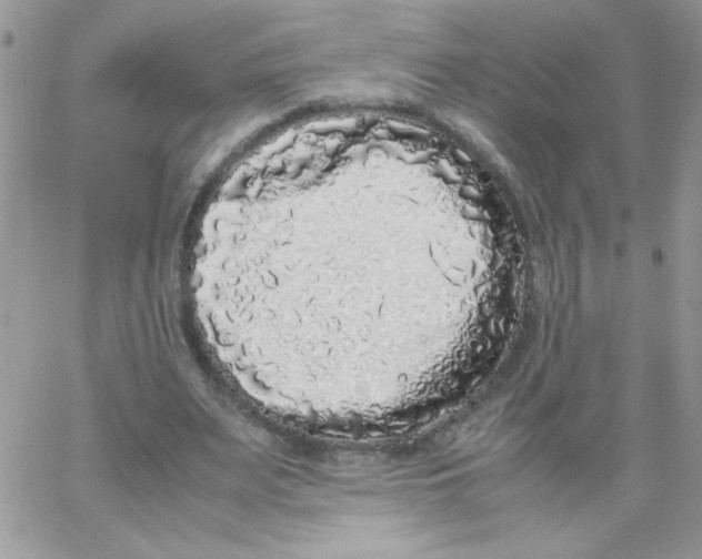 X0000062930487200602031950