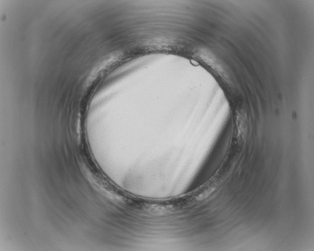 X0000062930494200602031950