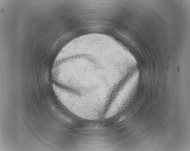 X0000062930502200602031950