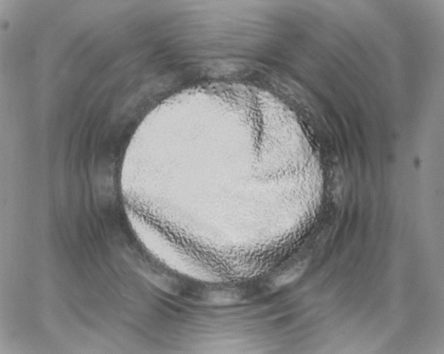 X0000062930510200602031950