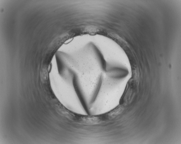X0000062930517200602031950