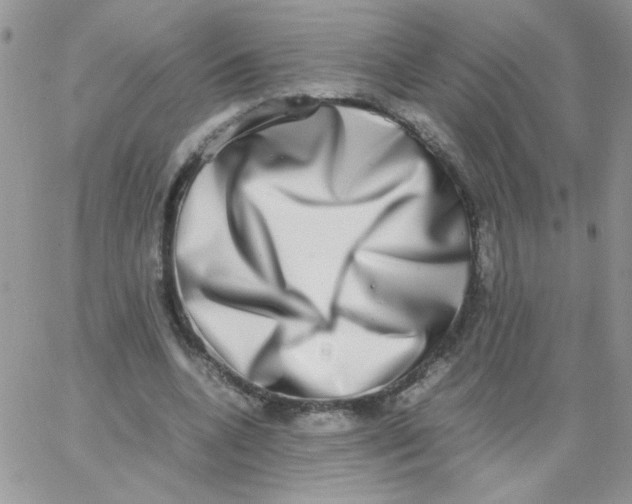 X0000062930536200602031949