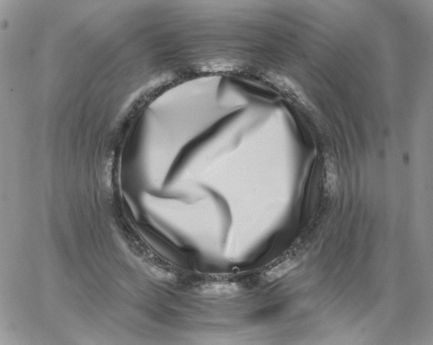 X0000062930543200602031949