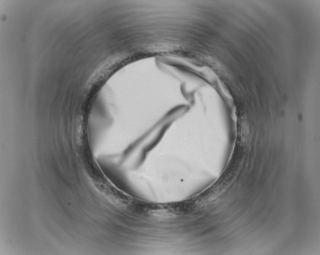 X0000062930544200602031949