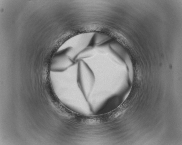 X0000062930546200602031949