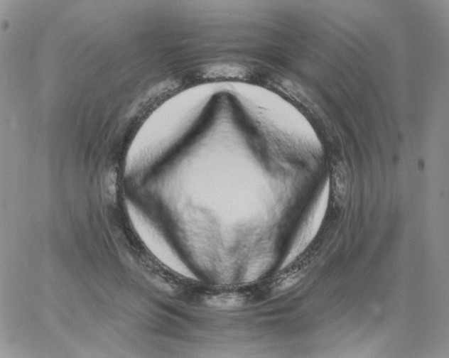 X0000062930551200602031949