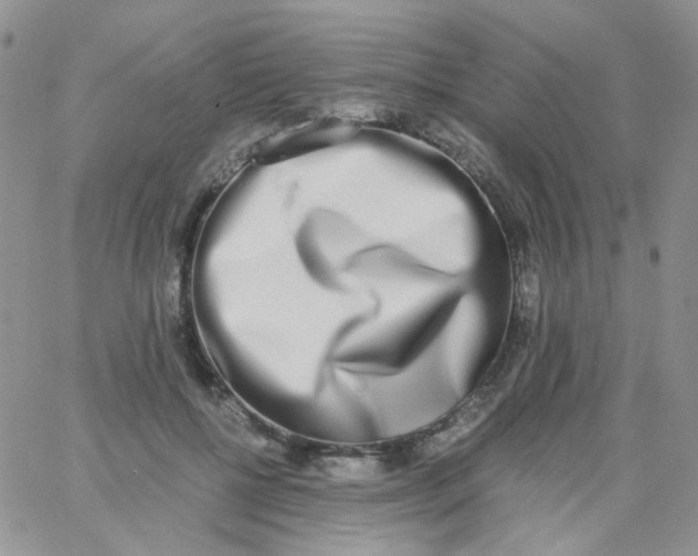 X0000062930552200602031949