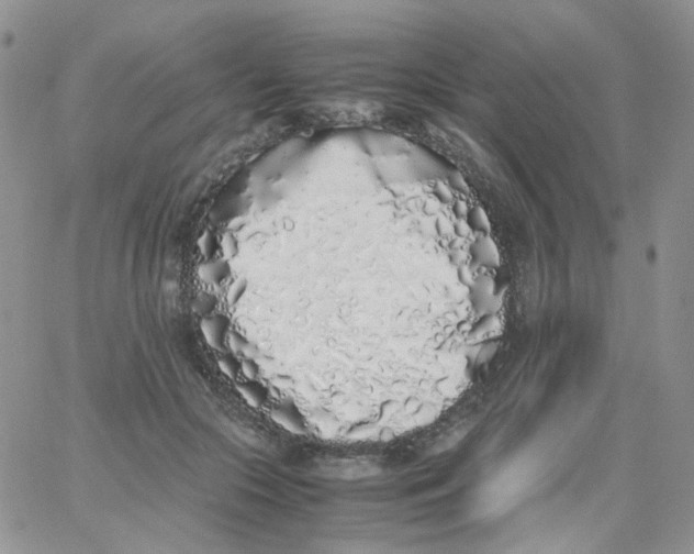 X0000062930553200602031949