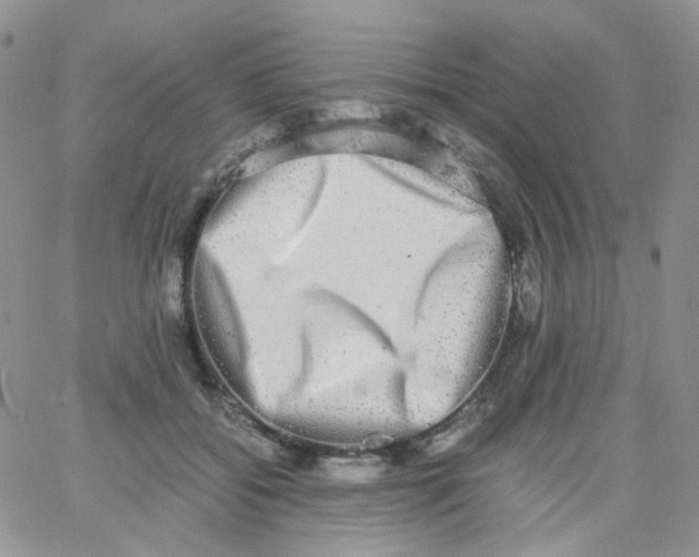 X0000062930556200602031949