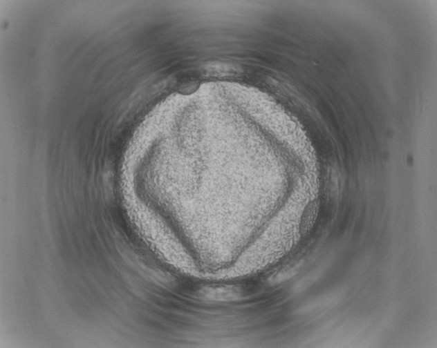 X0000062930557200602031949