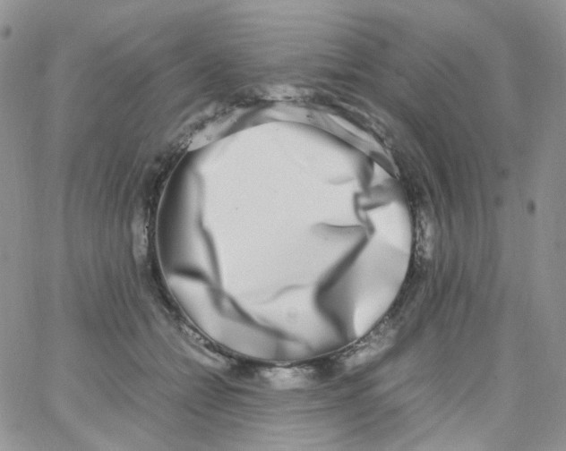 X0000062930558200602031949