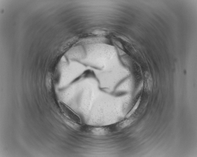 X0000062930562200602031949
