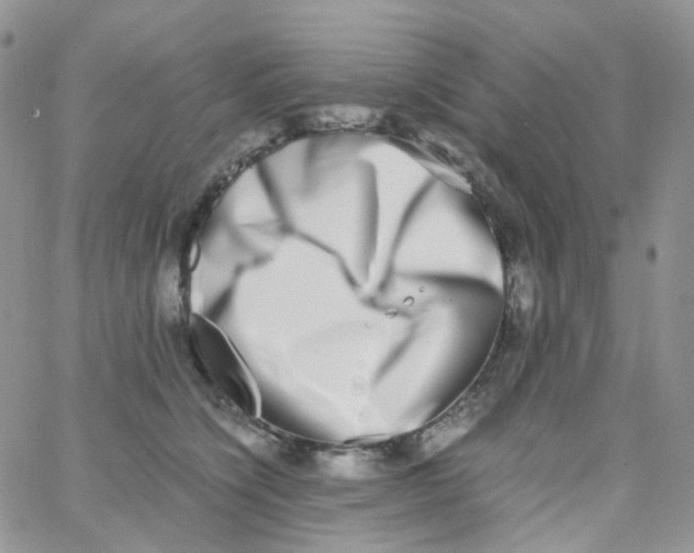 X0000062930564200602031949