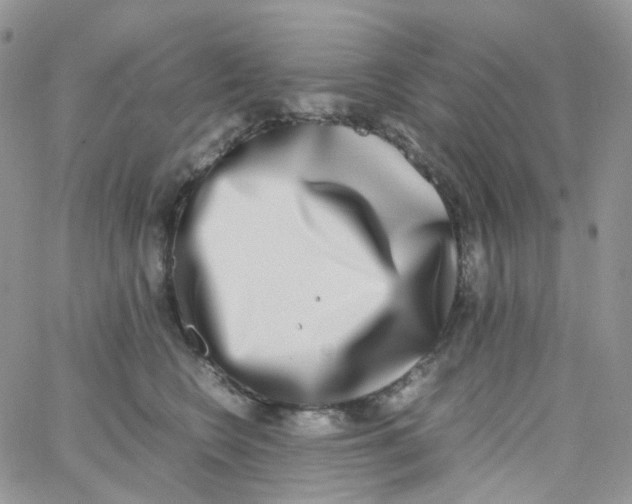 X0000062930566200602031949