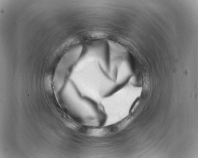 X0000062930575200602031950