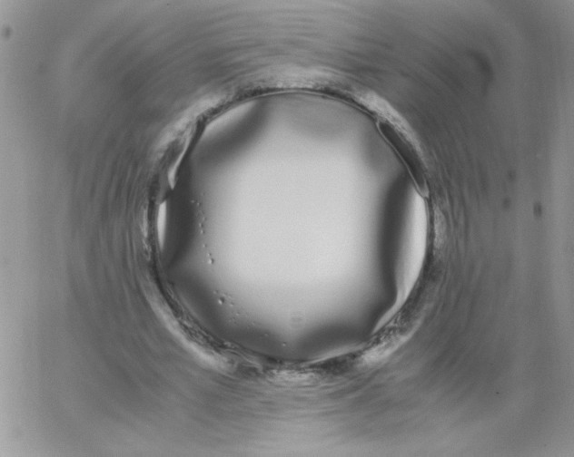 X0000062930581200602031949