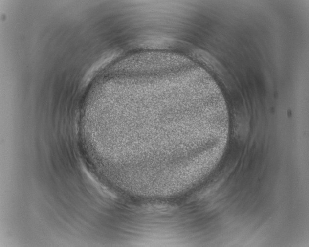X0000062930586200602031949