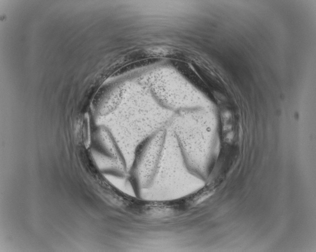 X0000062930601200602031948
