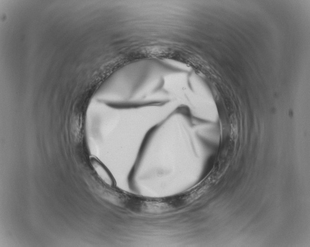 X0000062930605200602031948