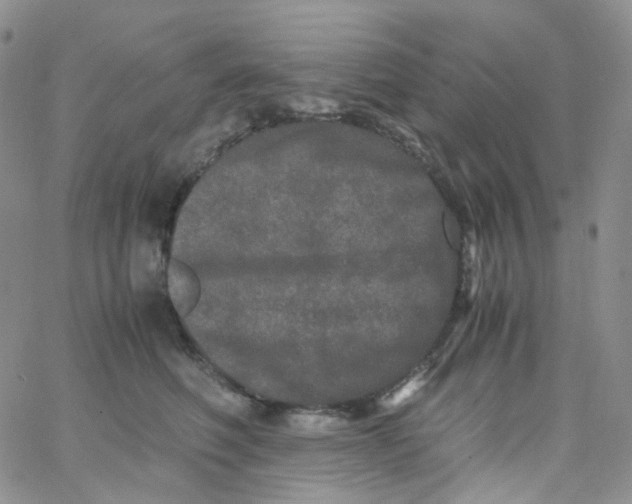 X0000062930614200602031948