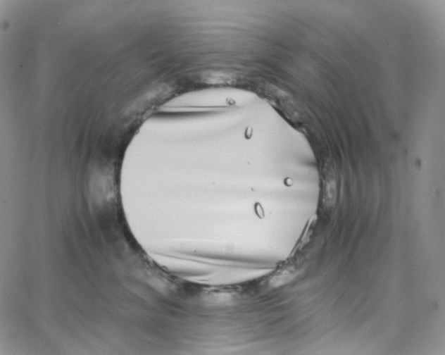 X0000062930620200602031948