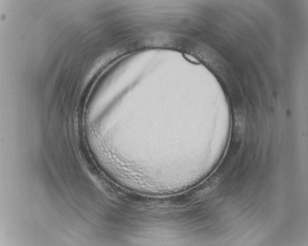 X0000062930626200602031947