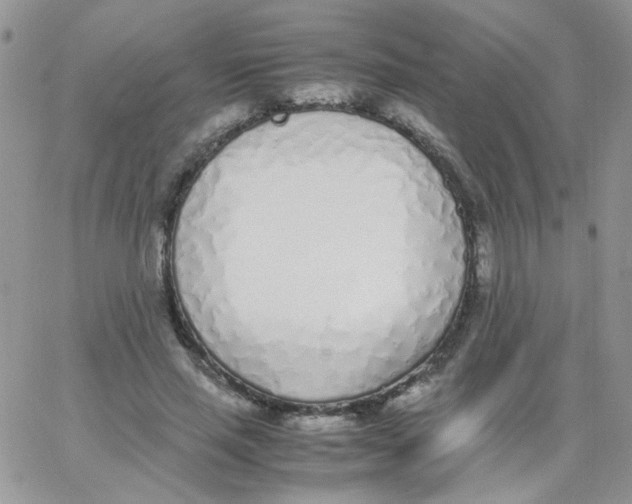 X0000062930637200602031948