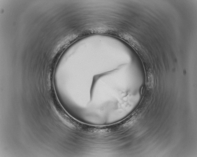 X0000062930638200602031948