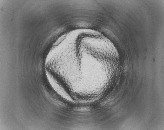 X0000062930639200602031948