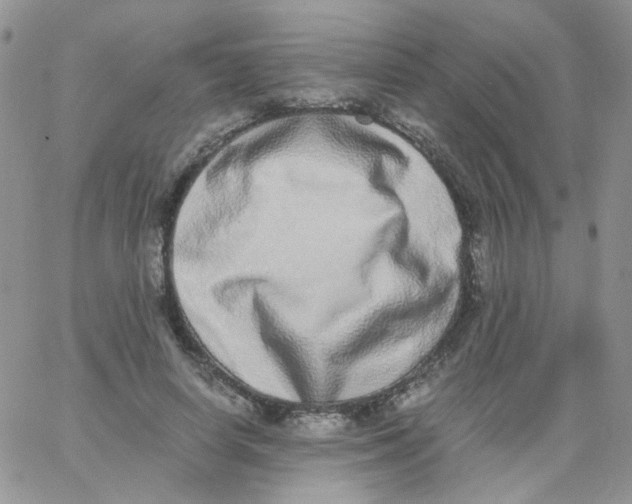 X0000062930642200602031948