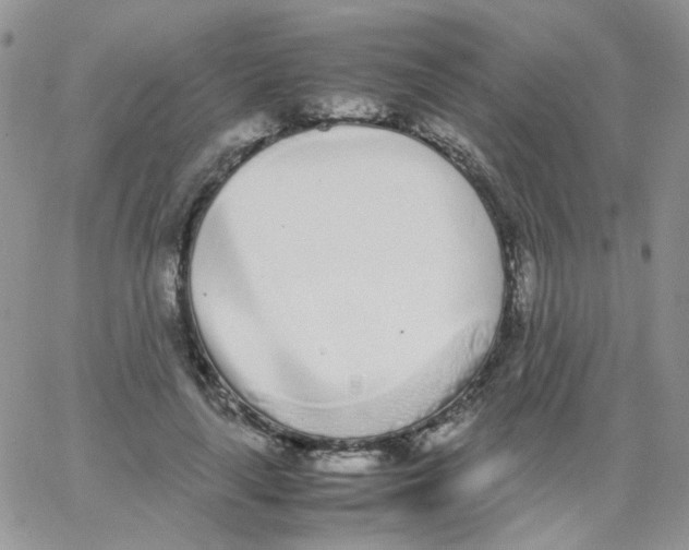 X0000062930643200602031948