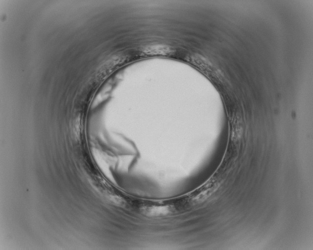 X0000062930647200602031948