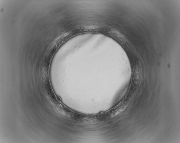 X0000062930648200602031948