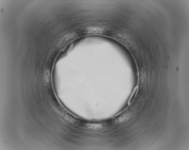 X0000062930649200602031948