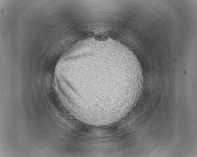 X0000062930650200602031948