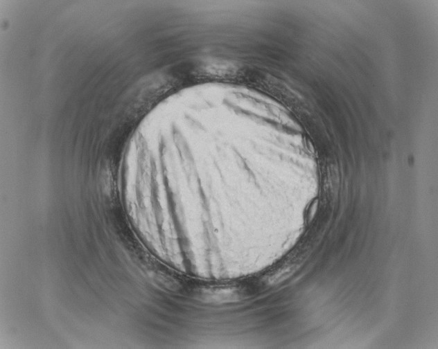 X0000062930651200602031948