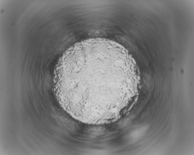 X0000062930659200602031948