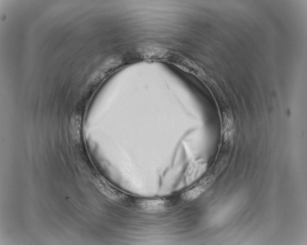 X0000062930664200602031948