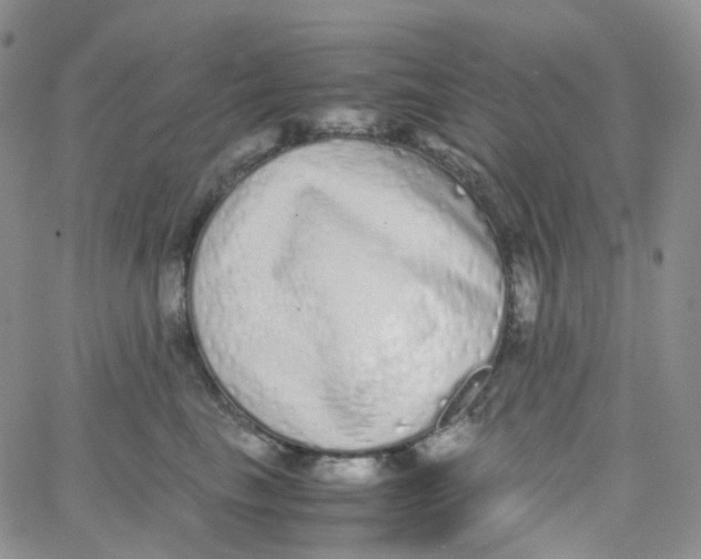 X0000062930665200602031948
