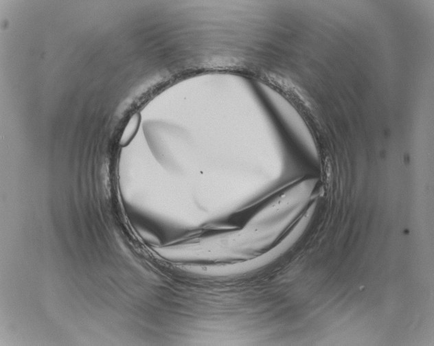 X0000062930684200602031947