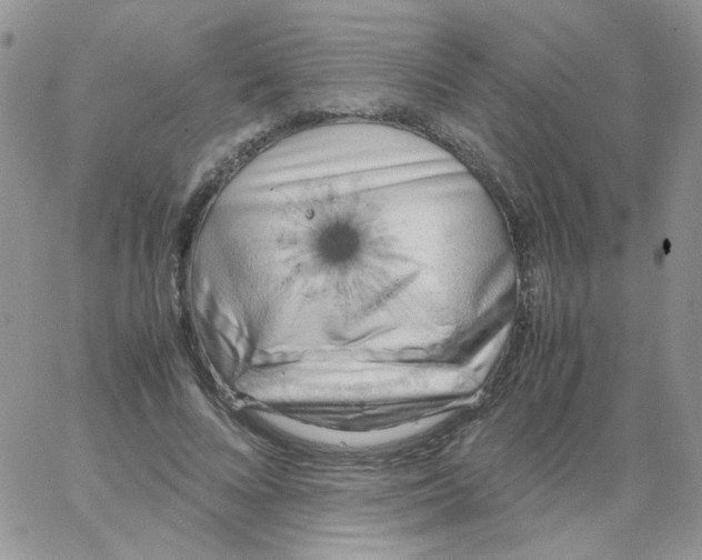 X0000062930688200602031947